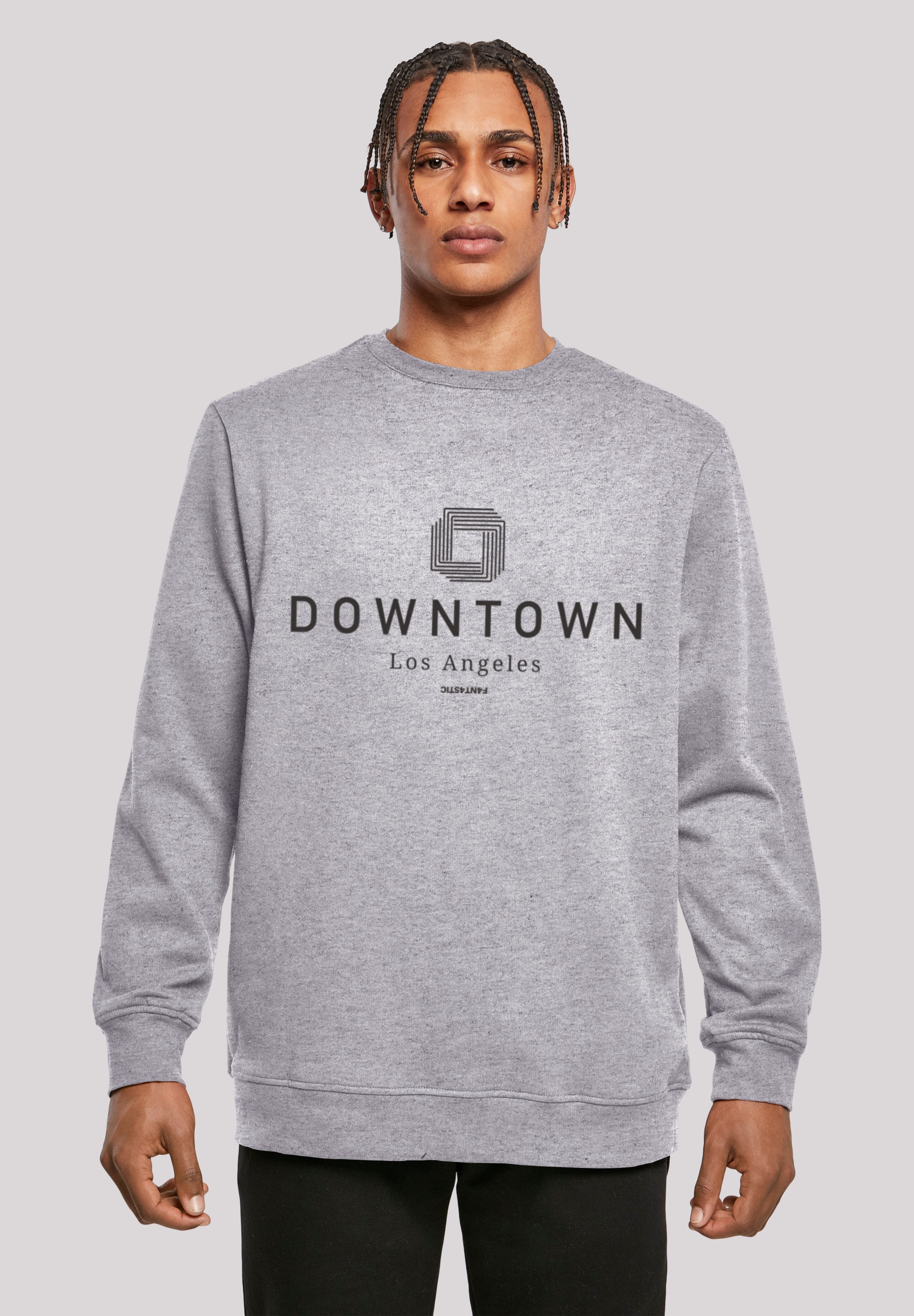 Kapuzenpullover F4NT4STIC "Downtown LA CREW", Herren, Gr. 4XL, grau (erdgrau), Obermaterial: 50% Baumwolle, 50% Polyester, relaxed fit, Rundhals, Pullover, Print Image