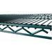 Green Epoxy Coated Wire Shelving 24 x 60 (2 Shelves) - NSF