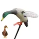 Leurre de canard colvert avec pied de support chasse électrique canard volant proximité du