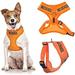 No Dogs Orange Not Good With Other Dogs Color Coded Alert Warning Waterproof Padded Adjustable Non Pull Front and Back Ring Medium Vest Dog Harness Prevents Accidents By 9786041026582 Used / Pre-owned
