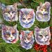Designocracy 6 Piece Cats Masks Decorative Wooden Clip-on Ornaments by G. Debrekht Wood in Brown | 7.5 H x 5.5 W x 1 D in | Wayfair 8090033C-S6