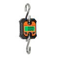 WeiHeng 100kg/50g Portable Electronic Hanging Scale Multifunctional Small Electronic Scale KG Catty LB Unit Switching LCD Display with Backlight Home Huntings Fishing Weighing with Hook