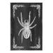 Stupell Industries Ax-414-Wood Black & White Spider On MDF by Lil' Rue Graphic Art in Black/White | 19 H x 13 W x 0.5 D in | Wayfair