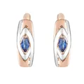 FJ-Boucles d'Oreilles Pendantes en Or Rose 585 pour Femme Bijoux Bleu Foncé Blanc Mixte