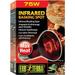 Exo-Terra Heat Glo Infrared Heat Lamp [Reptile Lighting Incandescent] 75 Watts