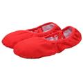 NUOLUX 1 Pair Ballet Slipper Sole Ballet Shoes Ballet Dance Practice Shoes Yoga Ballet Shoes for Girls Women (Red Size 24 16CM 10US 9.5UKï¼Œ27EU 4.1265Inch)