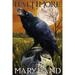 Baltimore Maryland Raven and Skull (12x18 Wall Art Poster Room Decor)