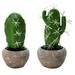 2pcs Artificial Succulent Plants Cute Fake Plants Faux Succulents Mini Succulents Plants Artificial Potted Plants Office Decor for Women for Desk Decor Bathroom Decor Aesthetic - type:style1