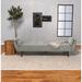 Coaster Furniture Caufield Biscuit-tufted Sofa Bed