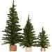 Assorted Size Artificial Pine Trees by - Set of 3 Fake Pine Trees with Wood Bases for Christmas Holiday and Home Decor