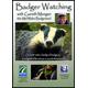 Badger Watching With Gareth Morgan (The Mid Wales Badgerman) - DVD - Used