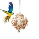 Jouets pour perruche ChFukBird en bois degré d'usure nuits en bois accessoires de recherche pour