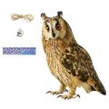 BUYISI Fake Owls Decoy Scare Birds Control Away Home Garden Owls Statue Decor A