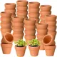 Petits pots en terre cuite avec trous de proximité petits pots en argile pots en terre cuite pour