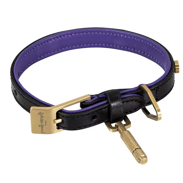 buster-+-punch-dog-collar---npa-02789/