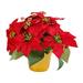 Artificial Poinsettia Plant Potted Red Poinsettia Plant Christmas Gift Ornament Artificial Flower for Festival Tabletop Xmas Living Room