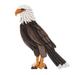 Bald Eagle,'Bald Eagle Cedar and Mahogany Statuette Artisan Crafted'