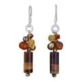 'Insightful' - Unique Tiger's Eye Dangle Earrings