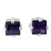 'India Charm' - Sterling Silver and Amethyst Stud Earrings