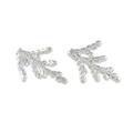 Natural Needles,'Silver Plated Natural Cypress Leaf Earrings from Thailand'