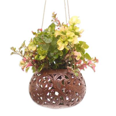 Tropical House in Lizard,'Hand Made Coconut Shell Hanging Planter'