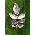 Silver Leaf,'Natural rose leaves brooch pin'