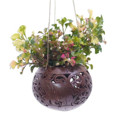 Tropical House in Elephant,'Hand Crafted Coconut Shell Hanging Planter'