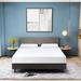 King Medium 10" Memory Foam Mattress - Alwyn Home Briese Green Tea Infused Multiple Profile Heights | 80 H x 76 W 10 D in Wayfair