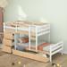 Harriet Bee Kintzel Twin Over Twin Loft Bunk Bed w/ Drawers & Ladder Wood in Brown | 54.5 H x 59.3 W x 101.9 D in | Wayfair