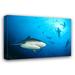 Dovecove Arie Beqa Shark Labs - Wrapped Canvas Print Canvas | 15 H x 18 W x 1.5 D in | Wayfair 16ED697C0CE1492E867C96314F6AE0CA