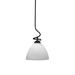 Red Barrel Studio® Capri 1-Light Stem Pendant w/ Hang Straight Swivel Glass in Black | 18.25 H x 10.75 W x 10.75 D in | Wayfair