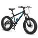 Fat Tire Mountain Bike 7Speed Mountain Bike Road Trail Bike 20'' Wide Knobby Tires,Steel Frame, Front and Rear Brakes