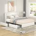 Queen Size Ivory Boucle Upholstered Platform Bed