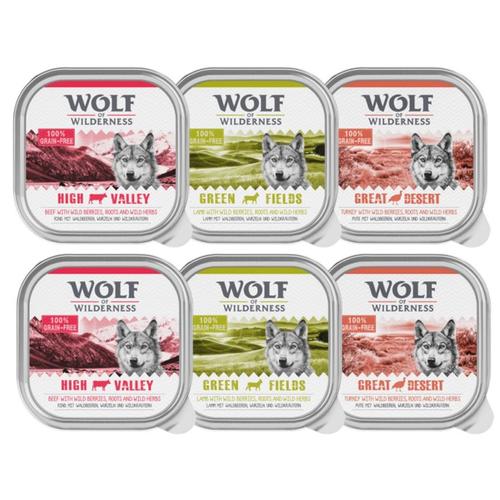 6 x 300 g Mixpaket Schale Wolf of Wilderness Hundefutter Nass