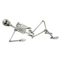 solacol Skeleton Life Size Skeleton Small Skeleton Halloween Skeleton Prop Human Full Size Skull Hand Life Body Anatomy Model Decor
