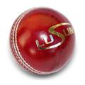 Lusum Optio Cricket Ball By Sports Ball Shop - Youth / Red
