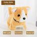 Kawaii Dog Plush Toy Can Walk Bark Nod Simulation Plush Electric Puppy Without Battery Kids Toys Electric Puppy Can Wag Tail