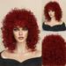 NRUDPQV human hair wigs for women African Short Curly Hair Small Curly Hair Bangs Black Wig Hair Set Rose Net Mechanism Fiber Wig Adult Female Costume Wigs Toupees D