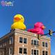 wholesale Newly design 6.6x4.7x6mH advertising inflatable cartoon duck with lights air blown animals balloon model for party event decoration toys sports