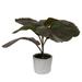 Vickerman 688373 - 11" Red Green Fiddle Leaf Fig Plant (FM223502) Home Office Bushes