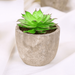 Mini Artificial Succulents In Pots Fake Succulents Set Artificial Succulents Artificial Potted Plants For Home Desk Decoration(Light green Red border #85)