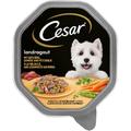 Fai scorta! Cesar Vaschette 28 x 150 g Alimento umido per cani - Ricette di Campagna Pollo e Verdurine