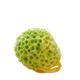 OUSIKA Bath & Body Brushes， Bath Sponge Body Exfoliating Massage Soft Bath Ball Skin Care Tool Shower SPA Foam Body Cleansing Brush Body Scrubber Bath (Color : Green)