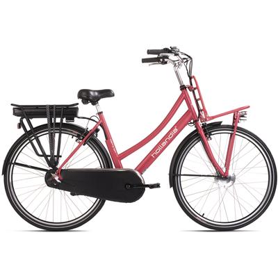 E-Bike HOLLANDIA "Carry On" E-Bikes Gr. 54 cm, 28 Zoll (71,12 cm), rot (himbeer) E-Bikes