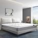 Full Medium 12" Foam Mattress - Alwyn Home Hybrid w/ Certi-PUR US Certified | 75 H x 54 W 12 D in Wayfair 3244661738BB472C8024D82AB91BA10E