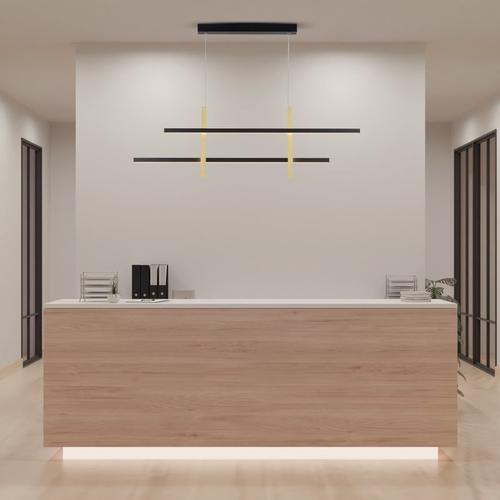 Paul Neuhaus Barra LED Pendelleuchte mit Dimmer, 2571-18,