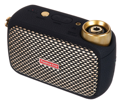 Positive Grid Spark Go