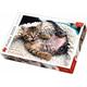 Trefl 10448 - Cheerful kitten, Fröhliches Kätzchen, Puzzle, 1000 Teile - Trefl