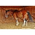 Big Horse Horse Reitstall Ride Shire Horse - Laminated Poster Print -12 Inch by 18 Inch with Bright Colors and Vivid Imagery