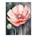 Pink Poppy Flower Pastel Watercolour Painting Spring Bud And Bloom Close-Up Nature Colourful Bright Floral Modern Artwork Unframed Wall Art Print Poster Home Decor Premium